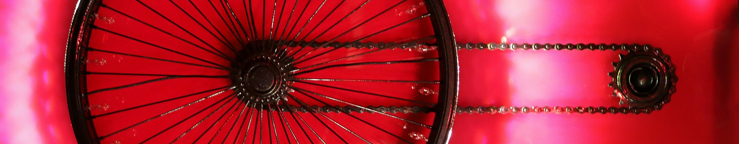 Vasilios Roumeliotis - Fuchsia Light-4-90