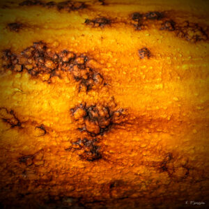 Costas Papageorgiou - Oxidosis - 9