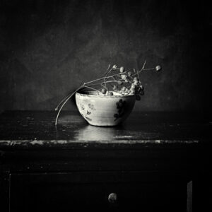 Costas Papageorgiou - Séance - 8
